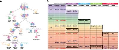 Development of a customizable mouse backbone spectral flow cytometry panel to delineate immune cell populations in normal and tumor tissues